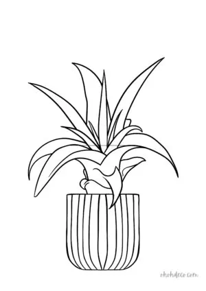 exotic flower drawing