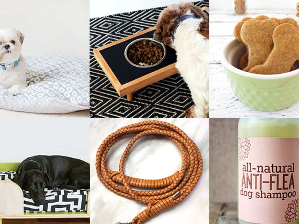 diy and crafts for dogs