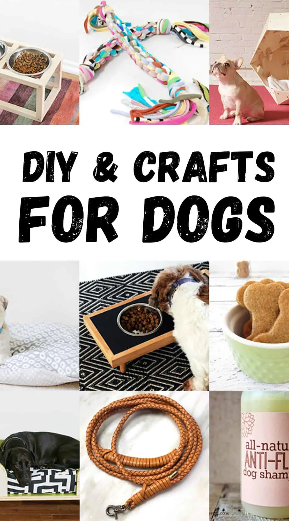 diy and crafts for dogs