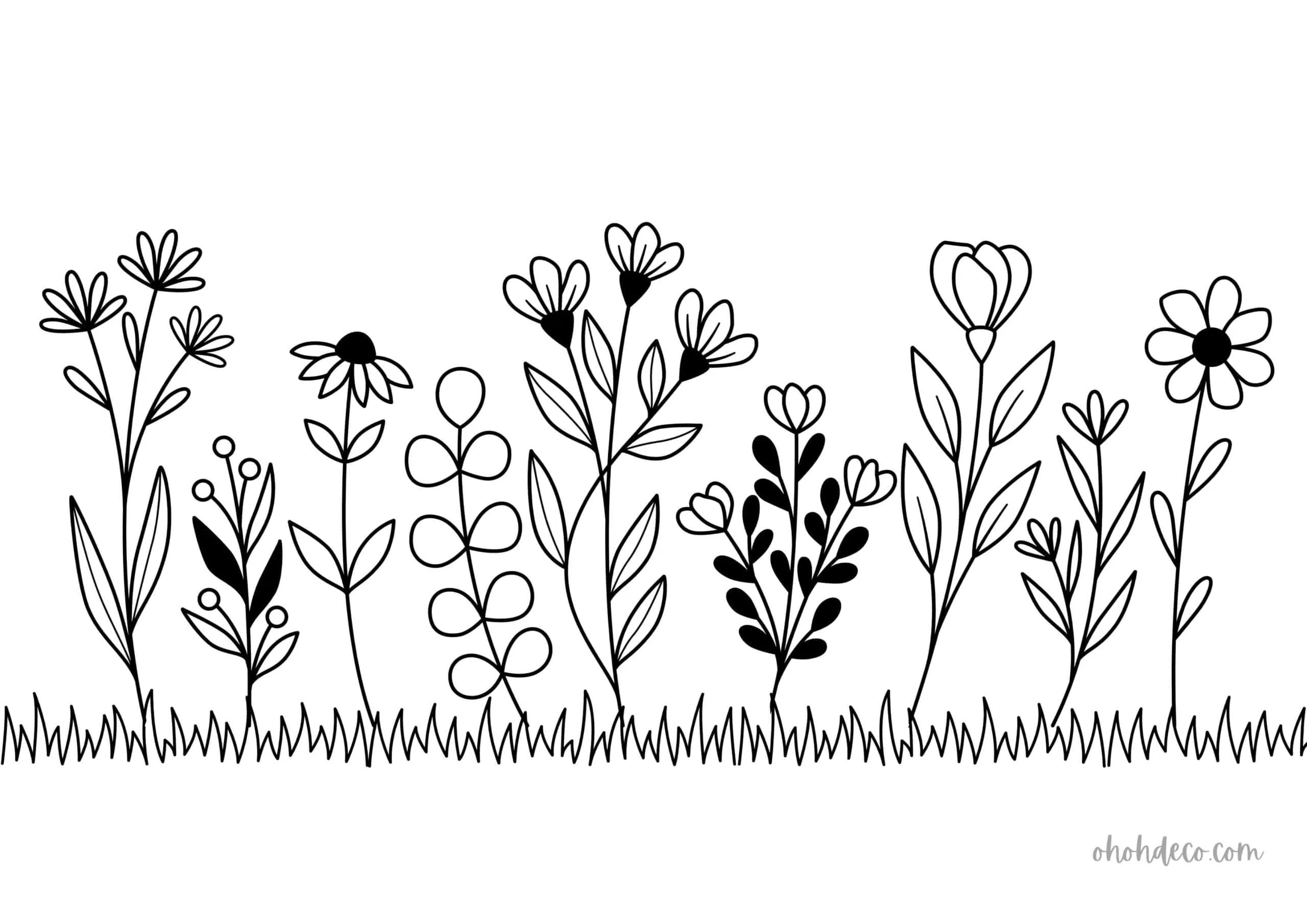 flower grass color sheet