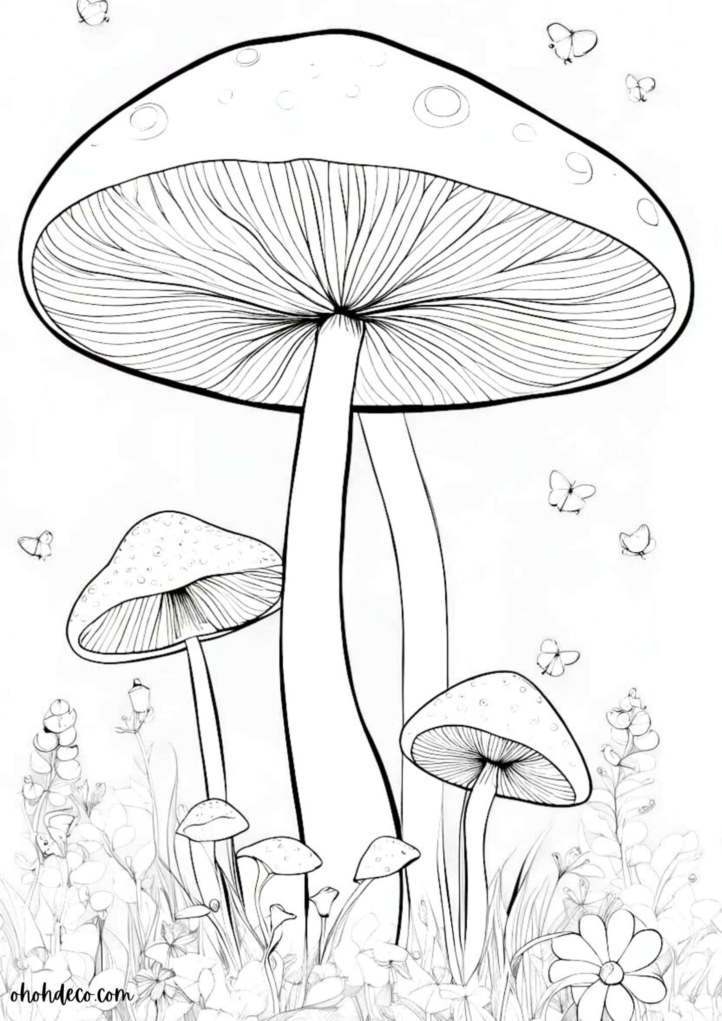 color mushroom