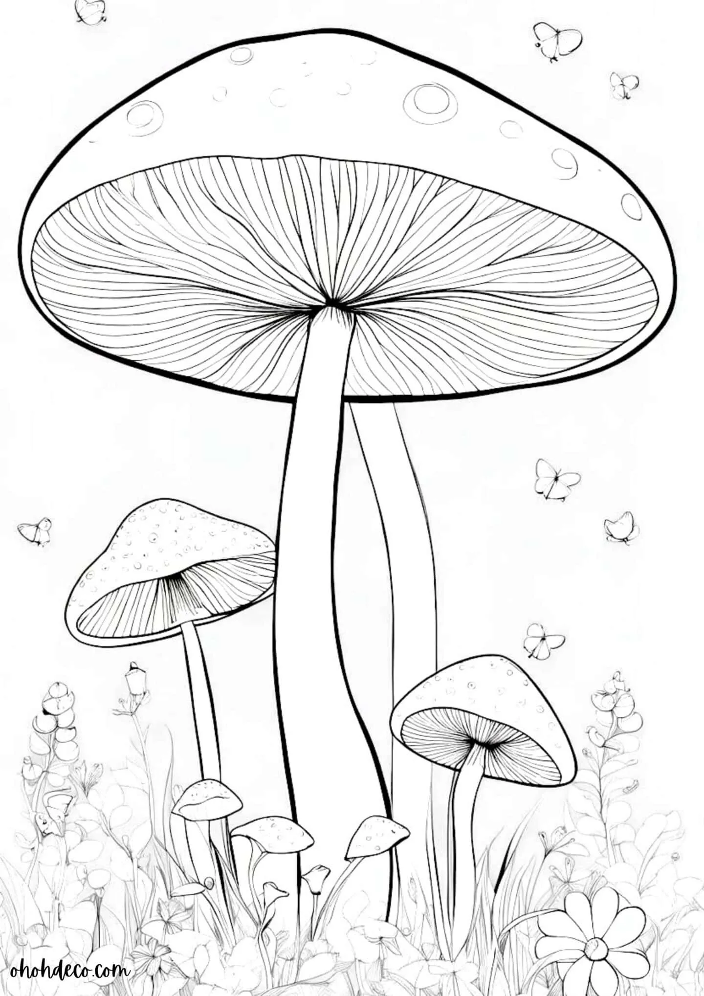 color mushroom