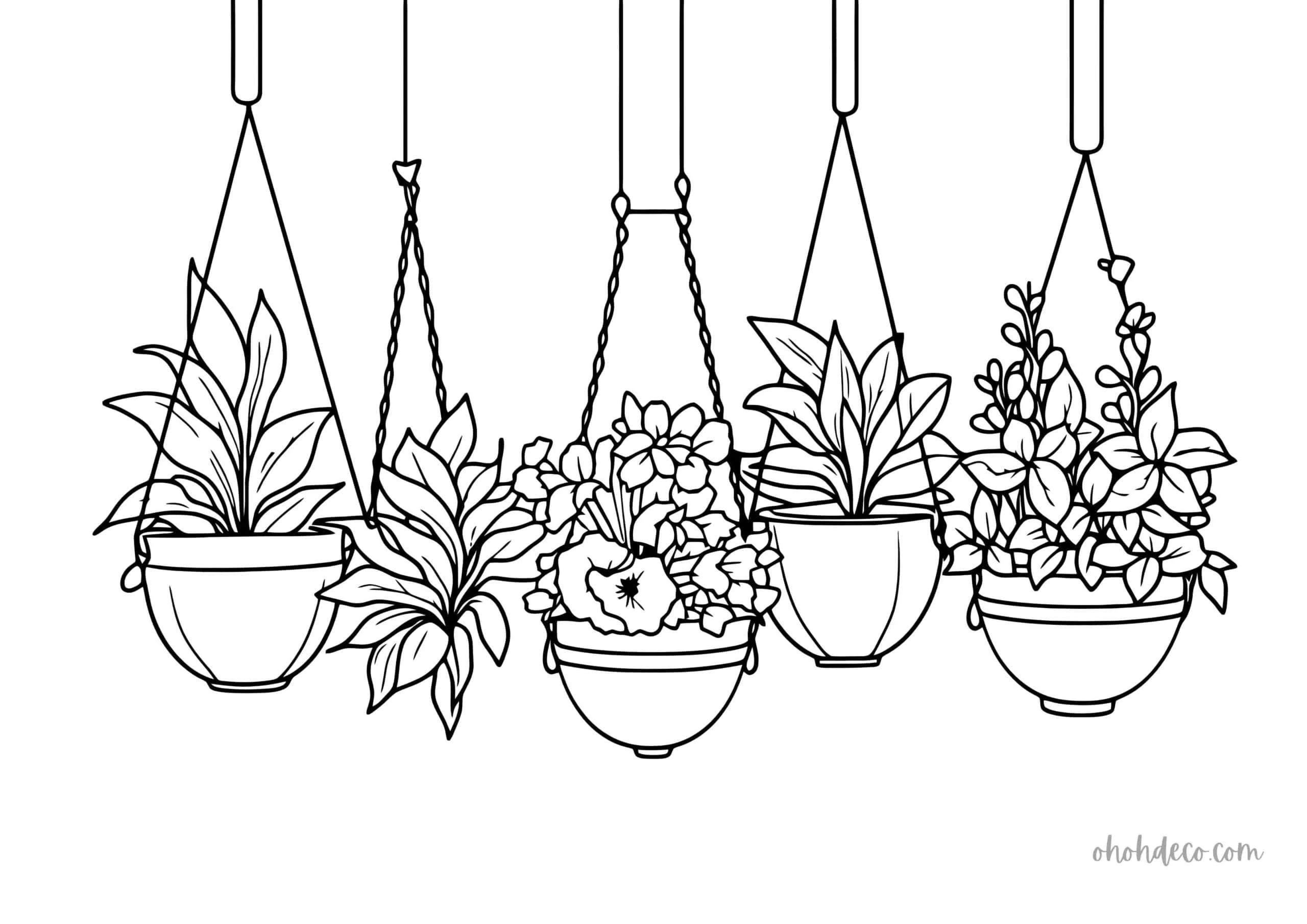hanging plant drawing
