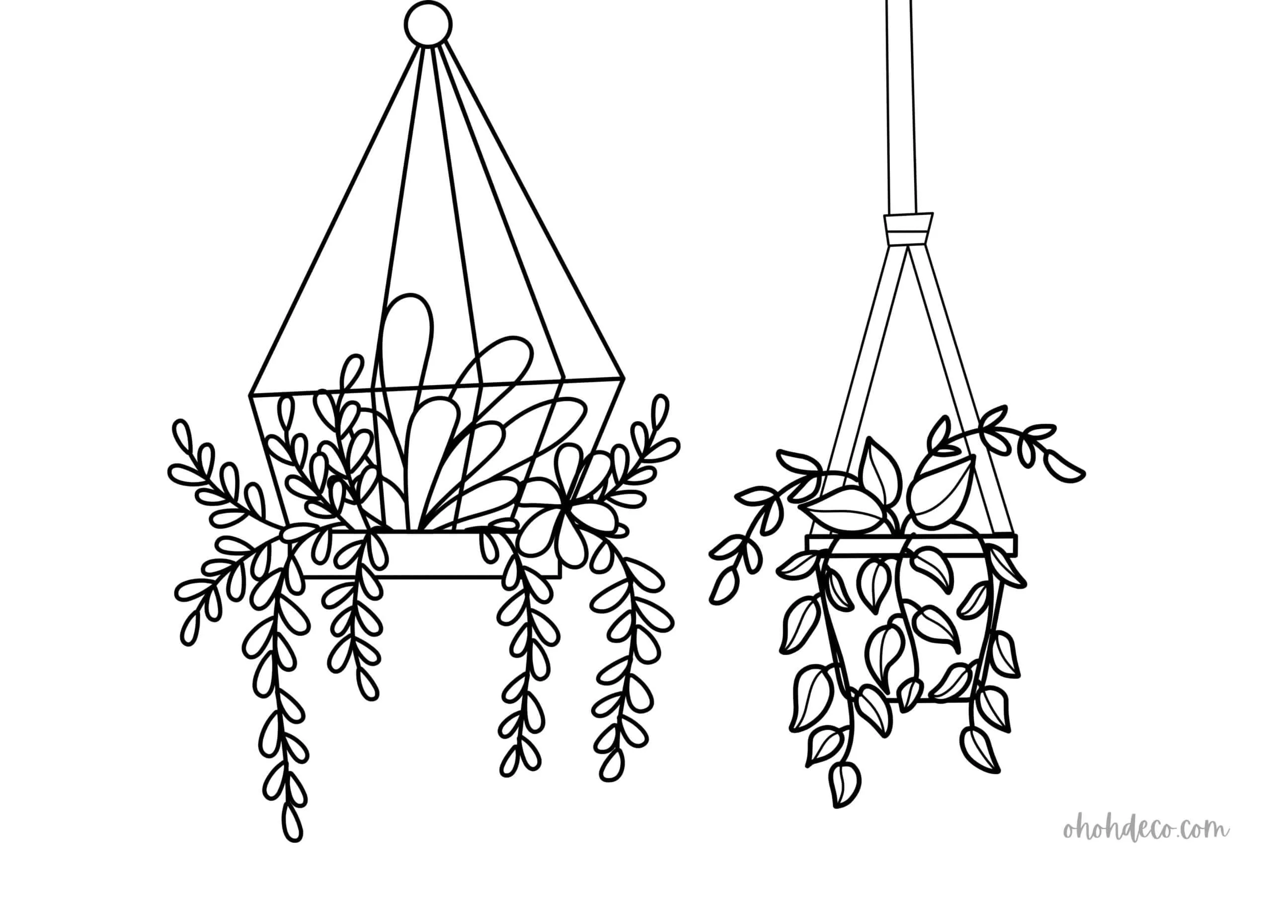 hanging cage plant color sheet