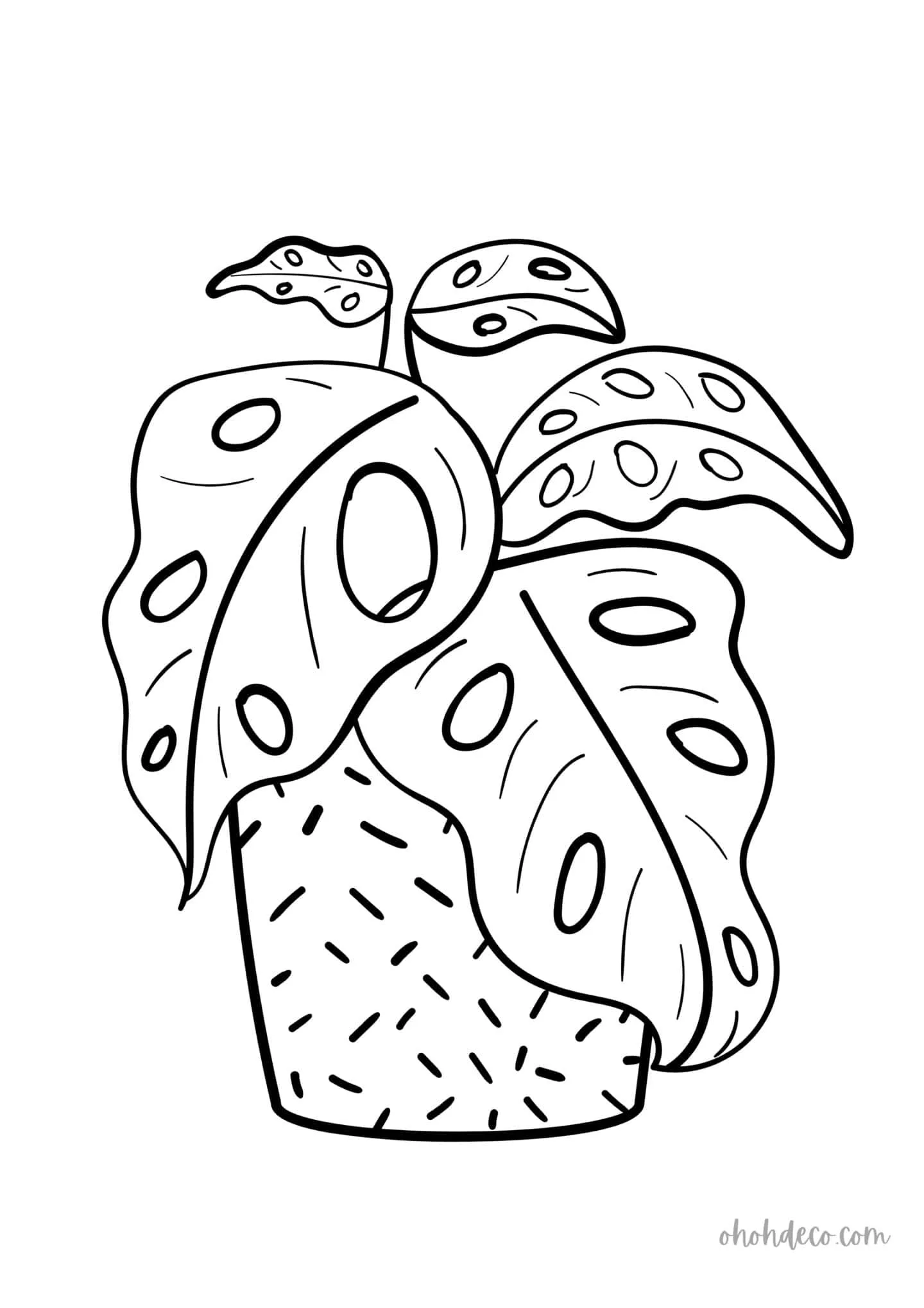 houseplant coloring page
