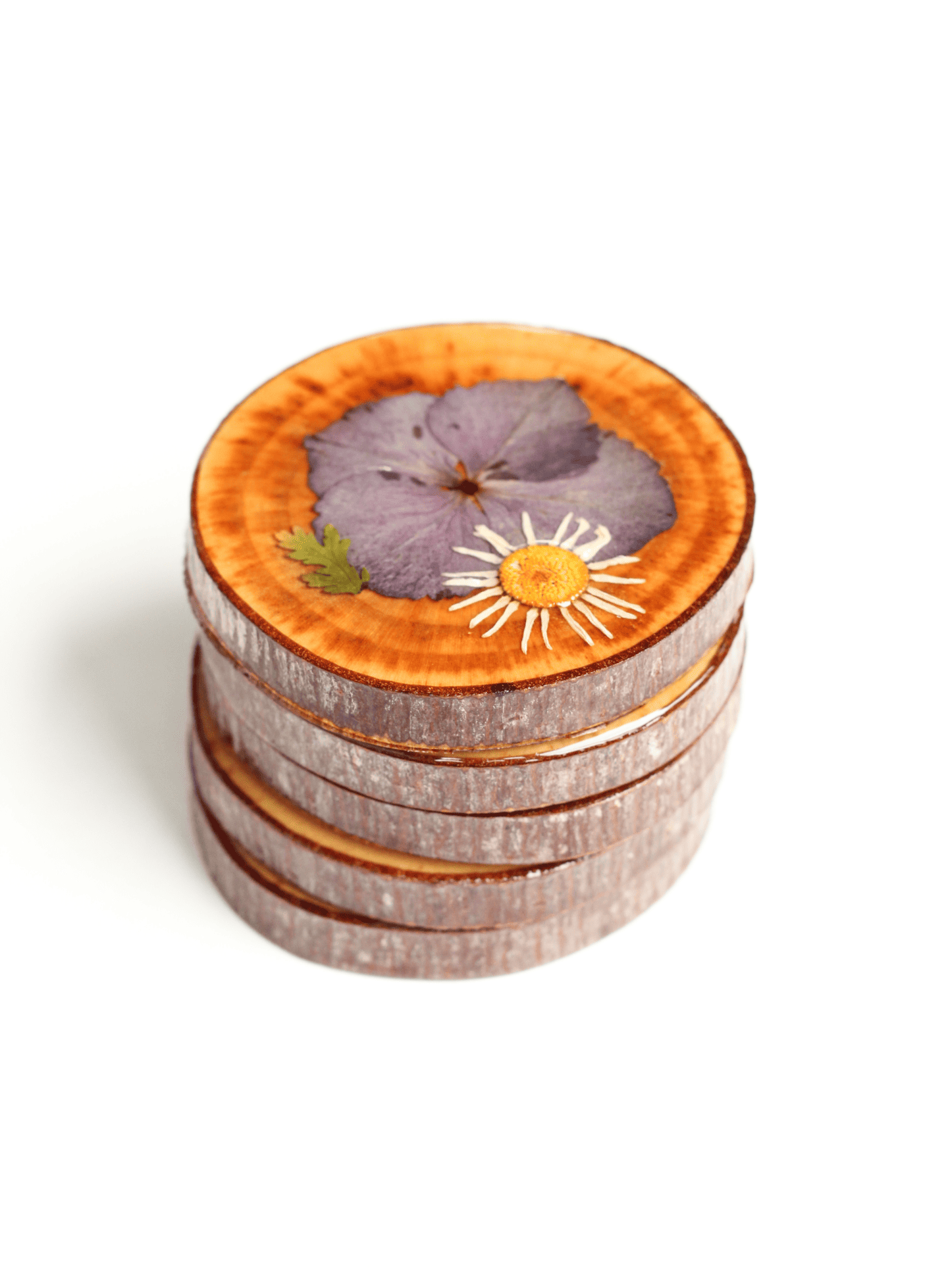 dried flower coasters