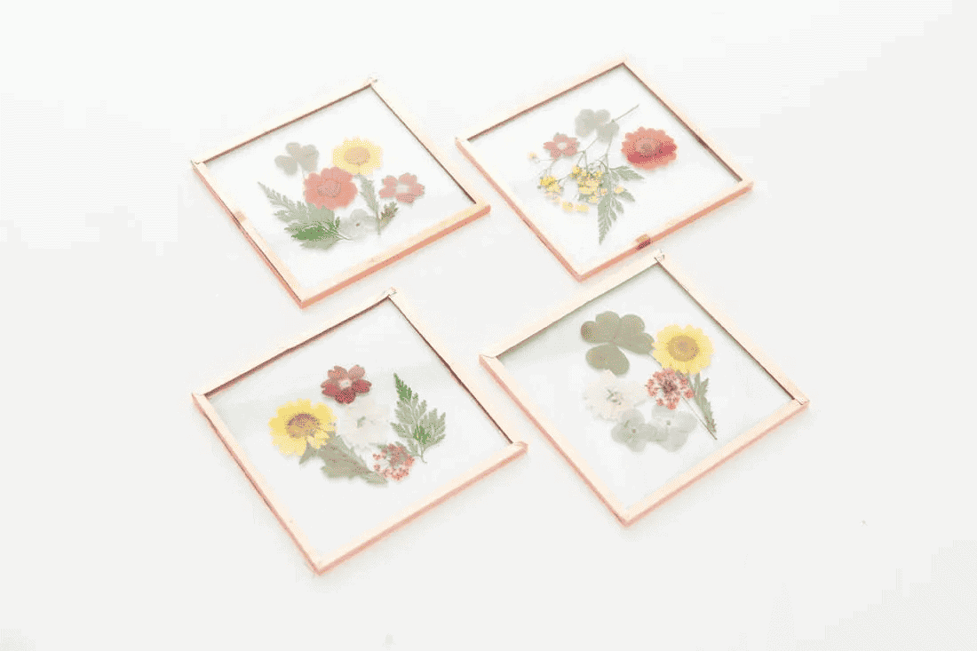 pressed flower coaster