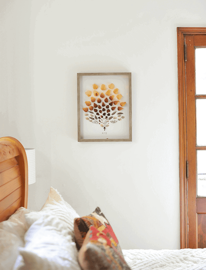 dried flowers shadow box idea