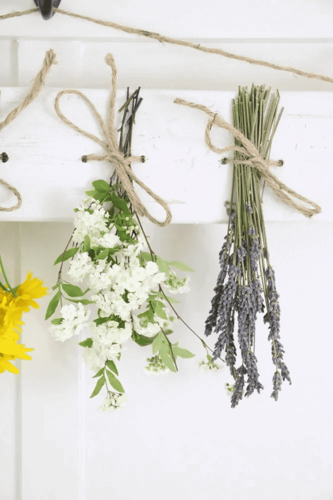 dried flower wall decor