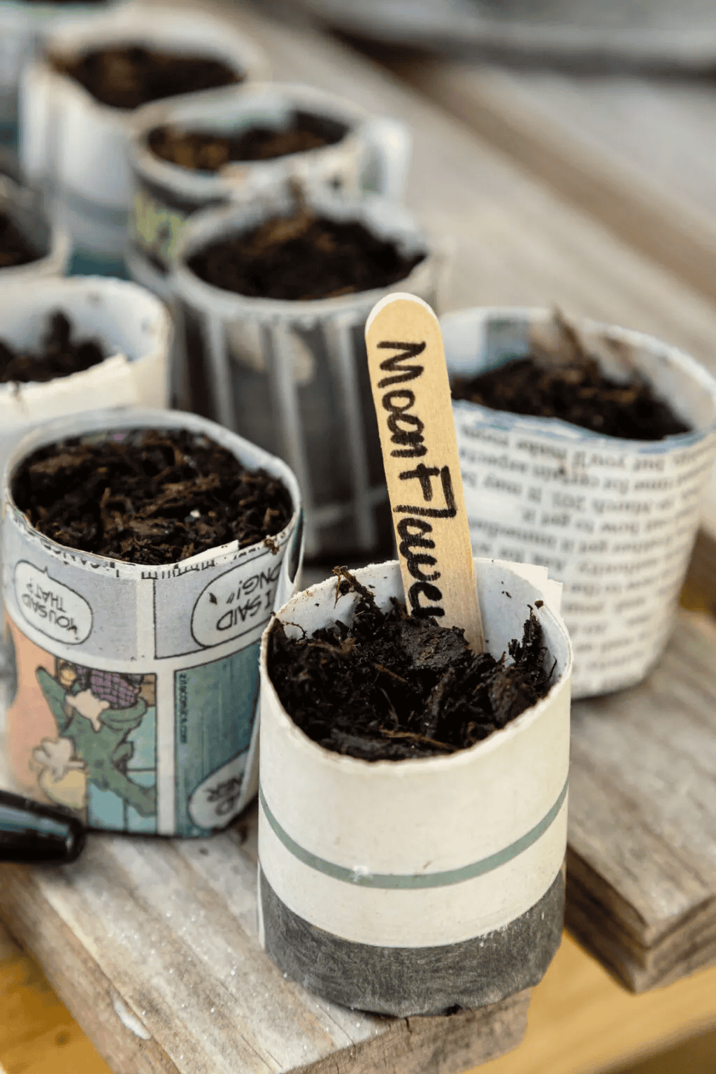 newspaper seeds planters