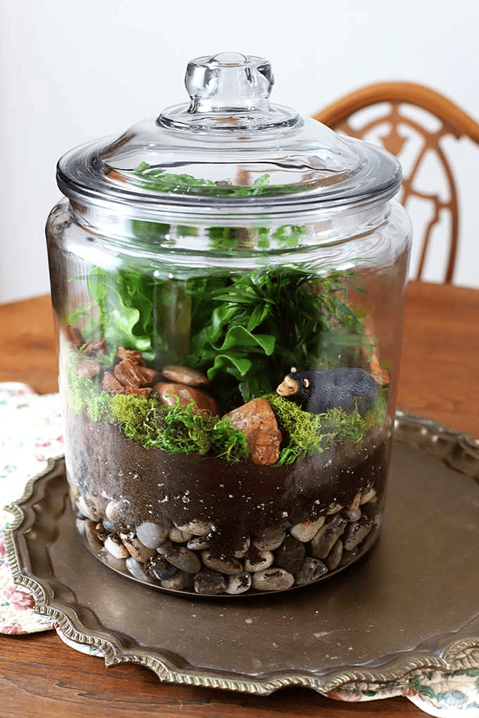 diy terrarium tutorial