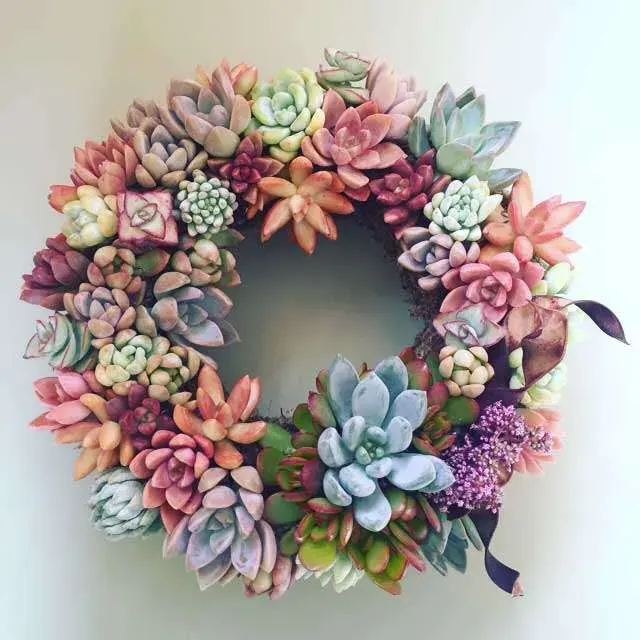 how to make succulent wreath
