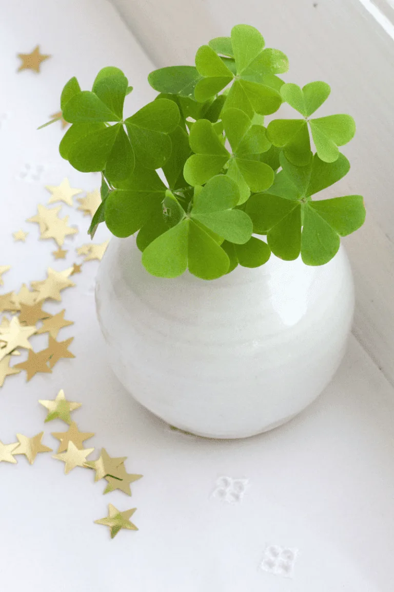 diy clover centerpiece