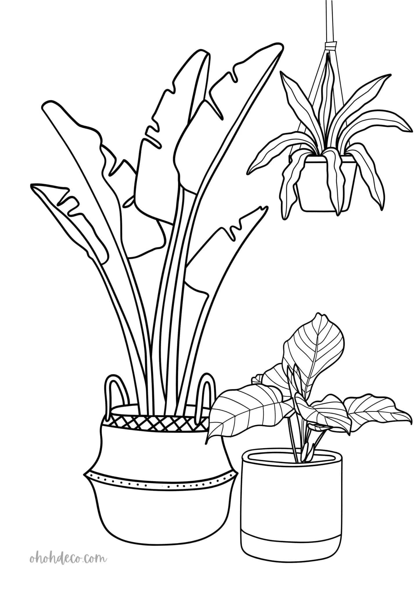 palm planters drawing