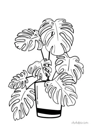monstera coloring sheet