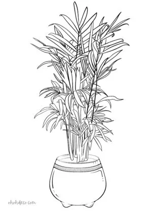 palm coloring page