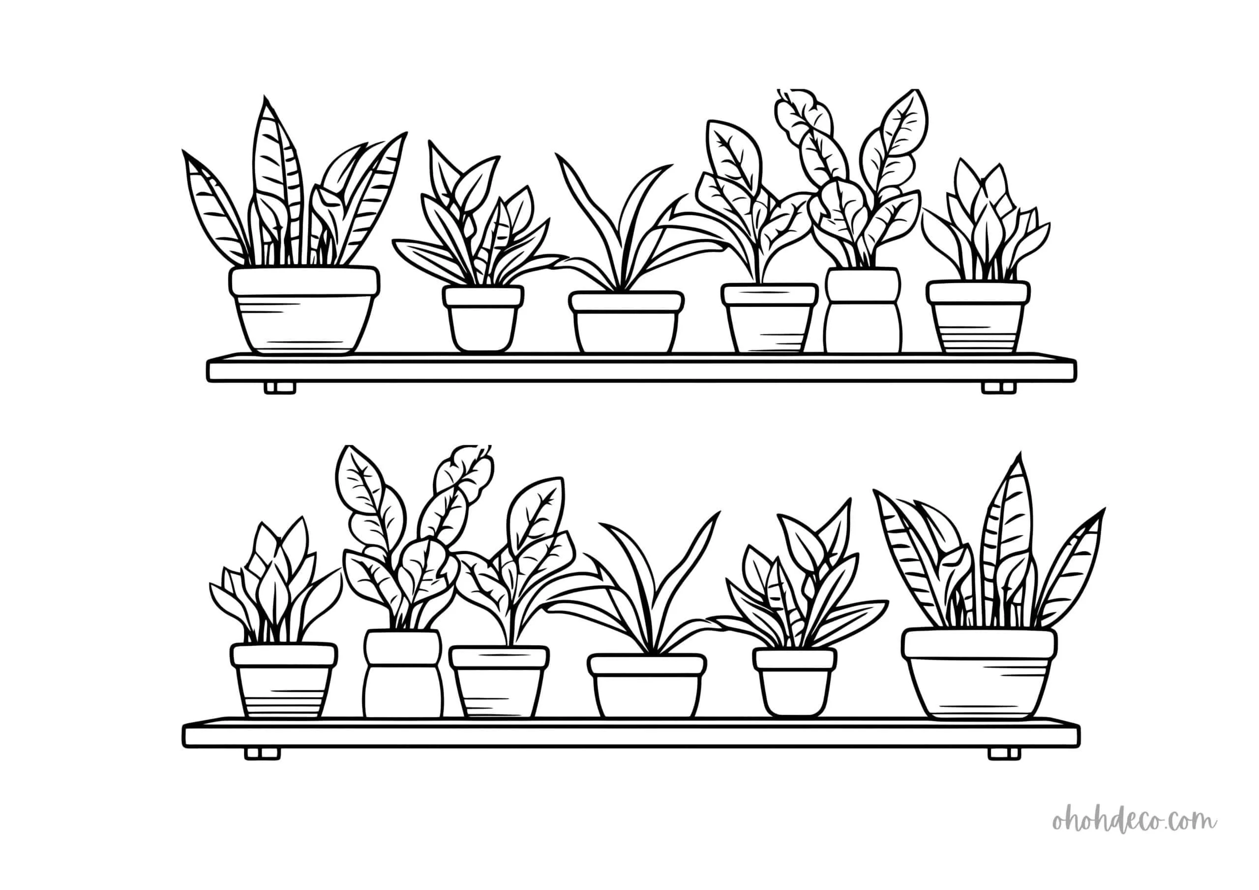 plant wall coloring page
