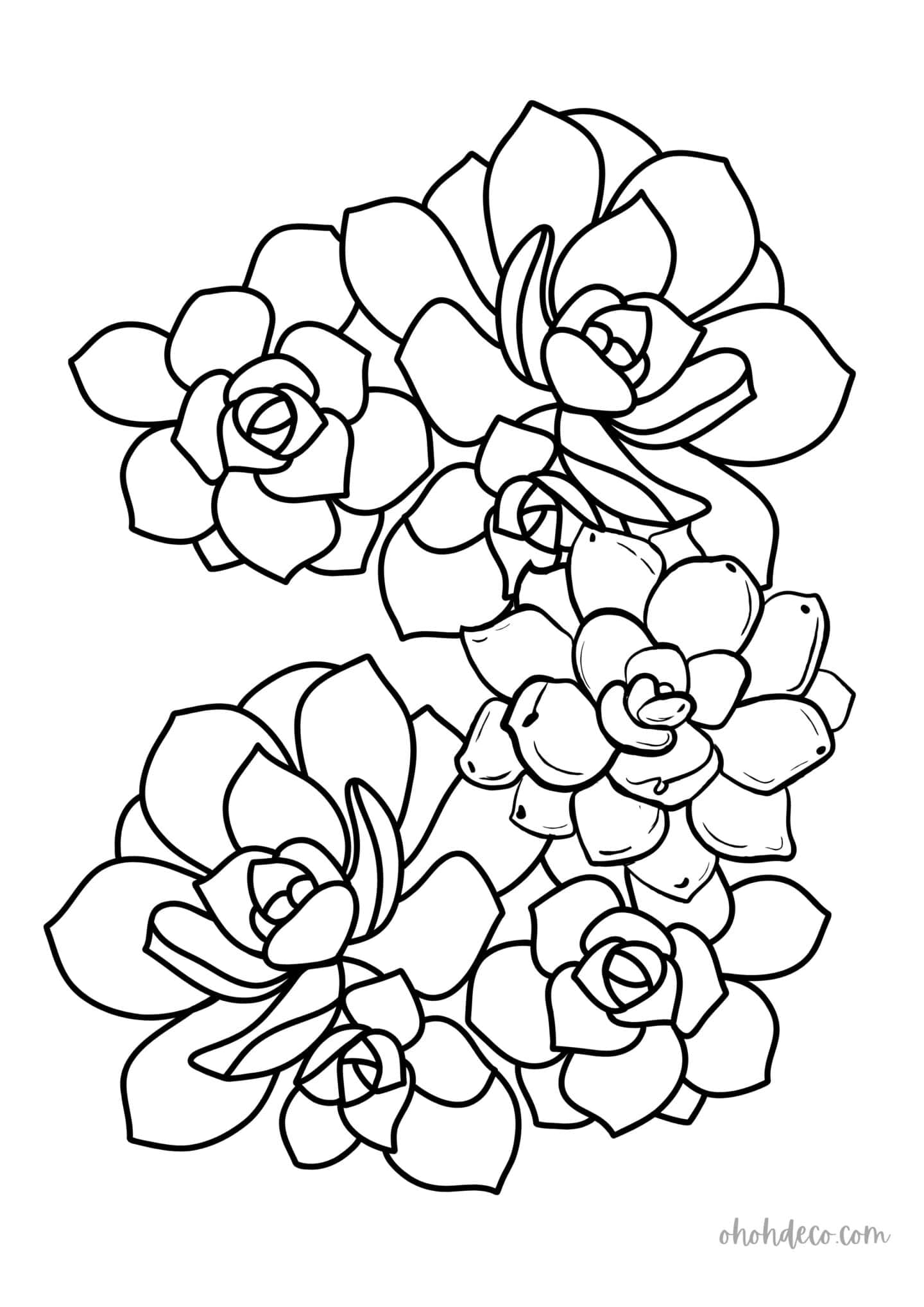 succulent coloring page