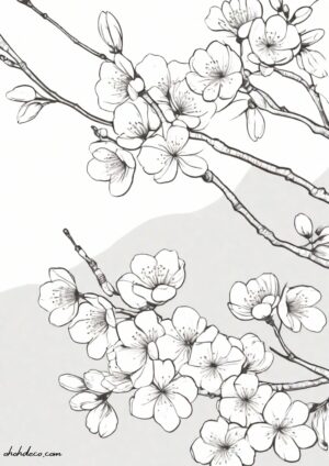 cherry blossom coloring page