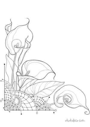 arum coloring page