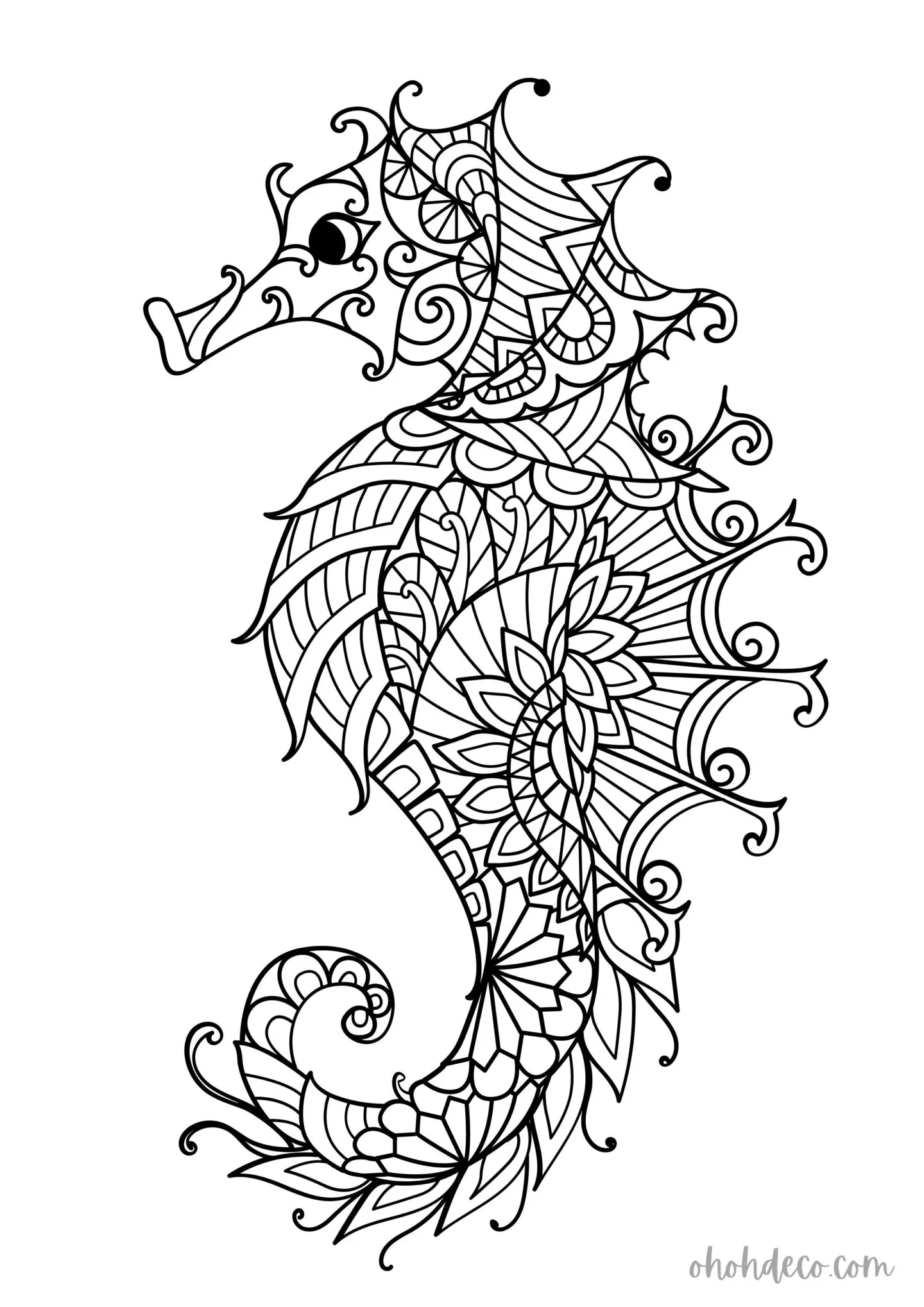 sea horse coloring page