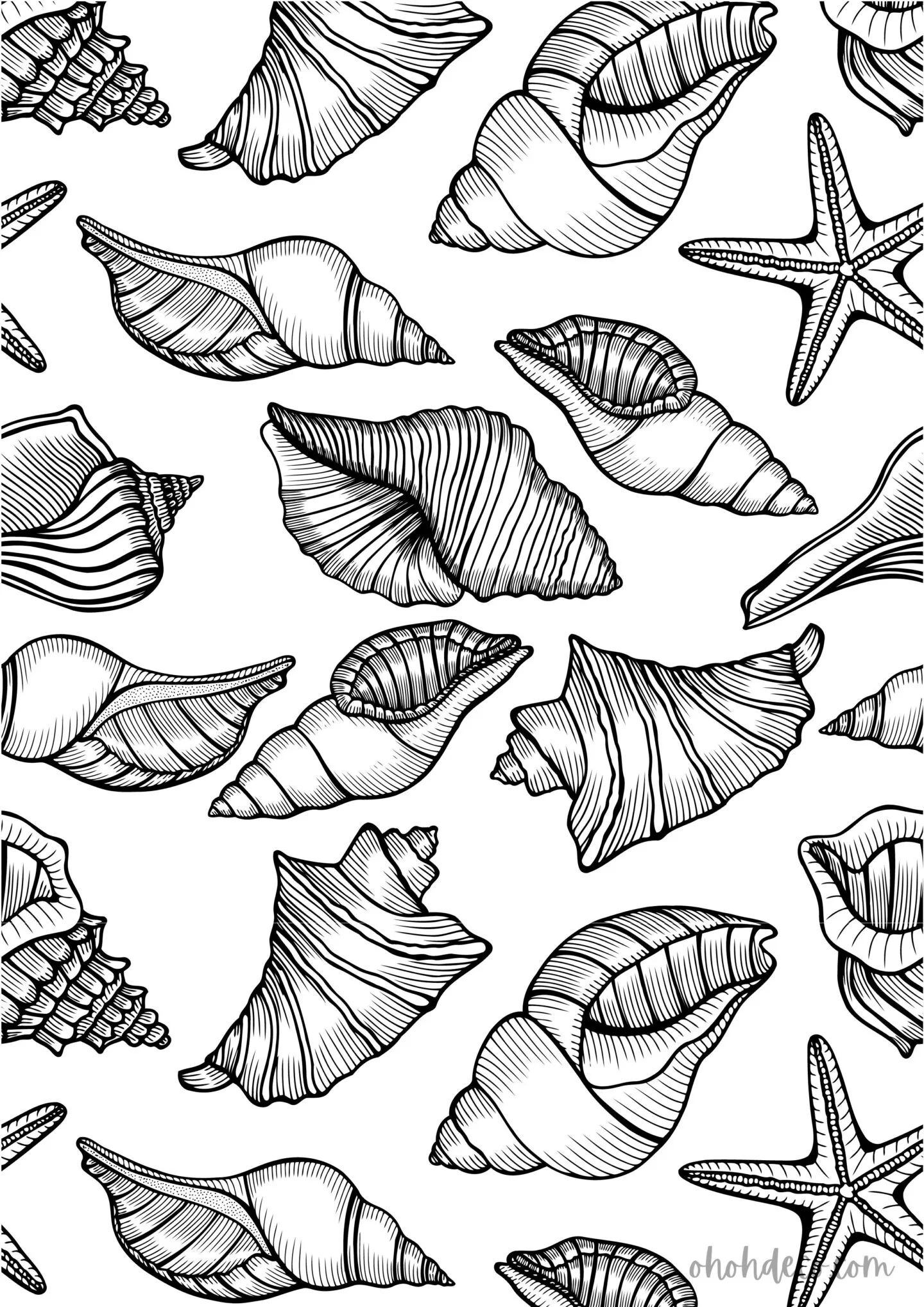 shell coloring page