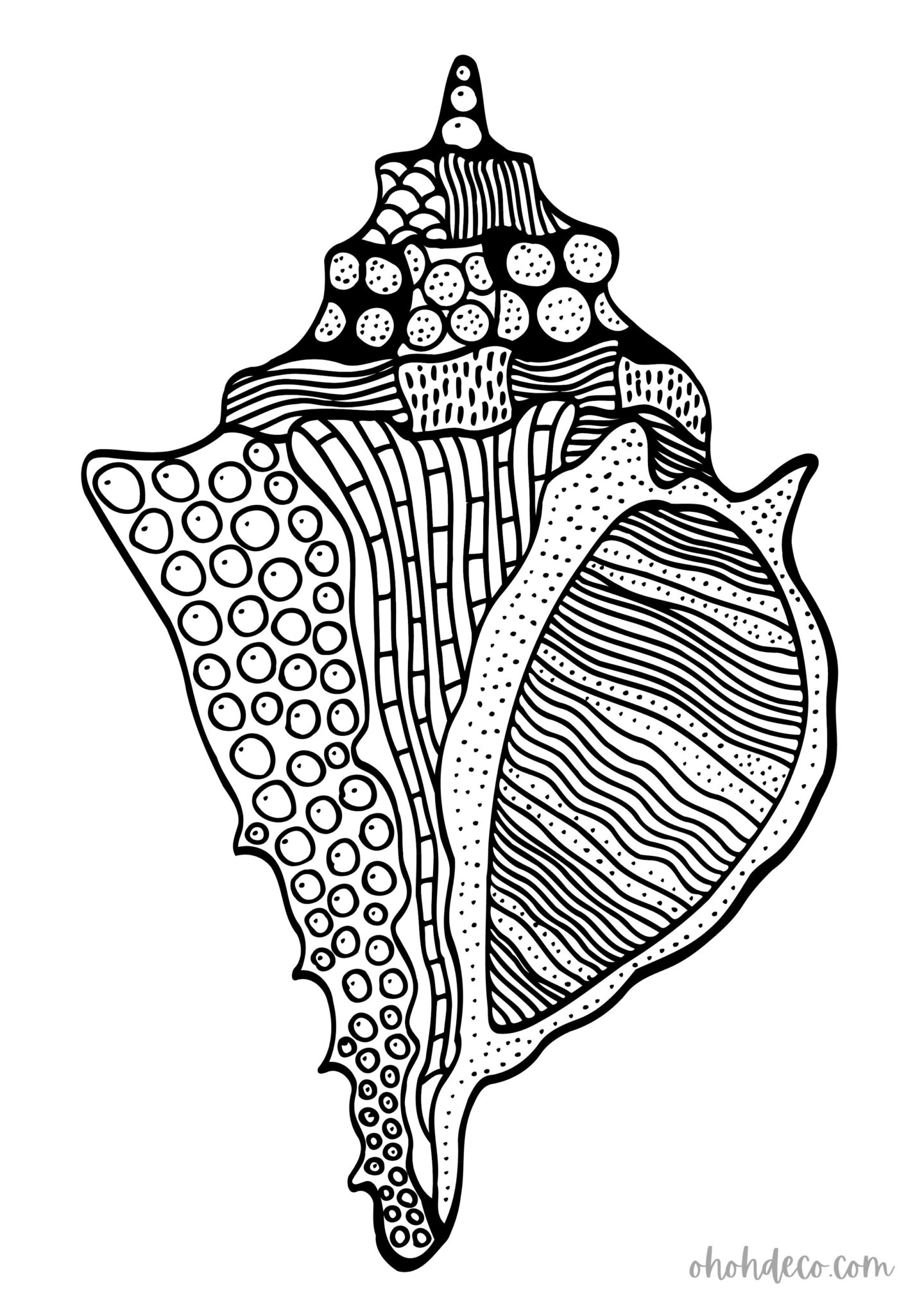 shell coloring page