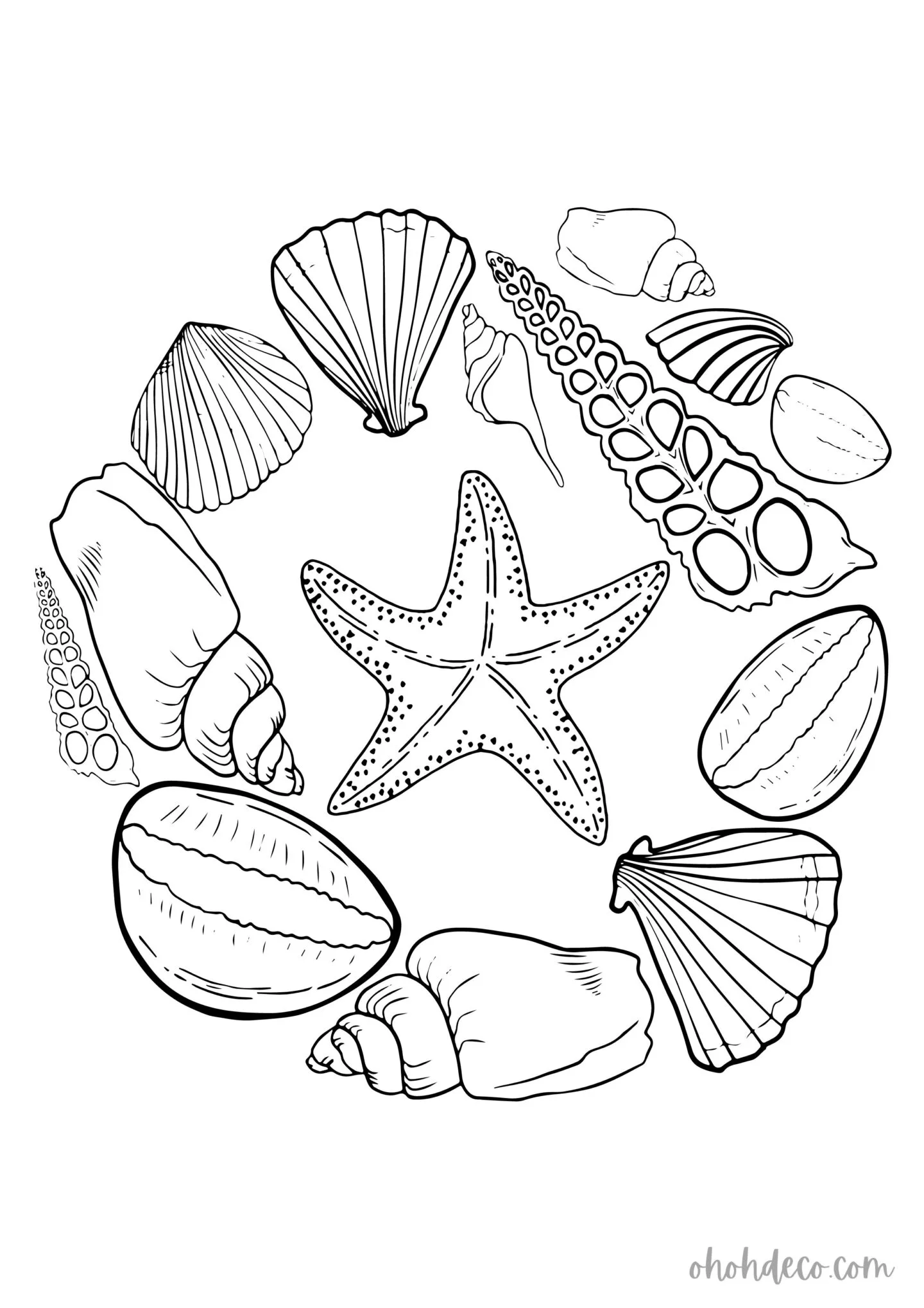 shell coloring page