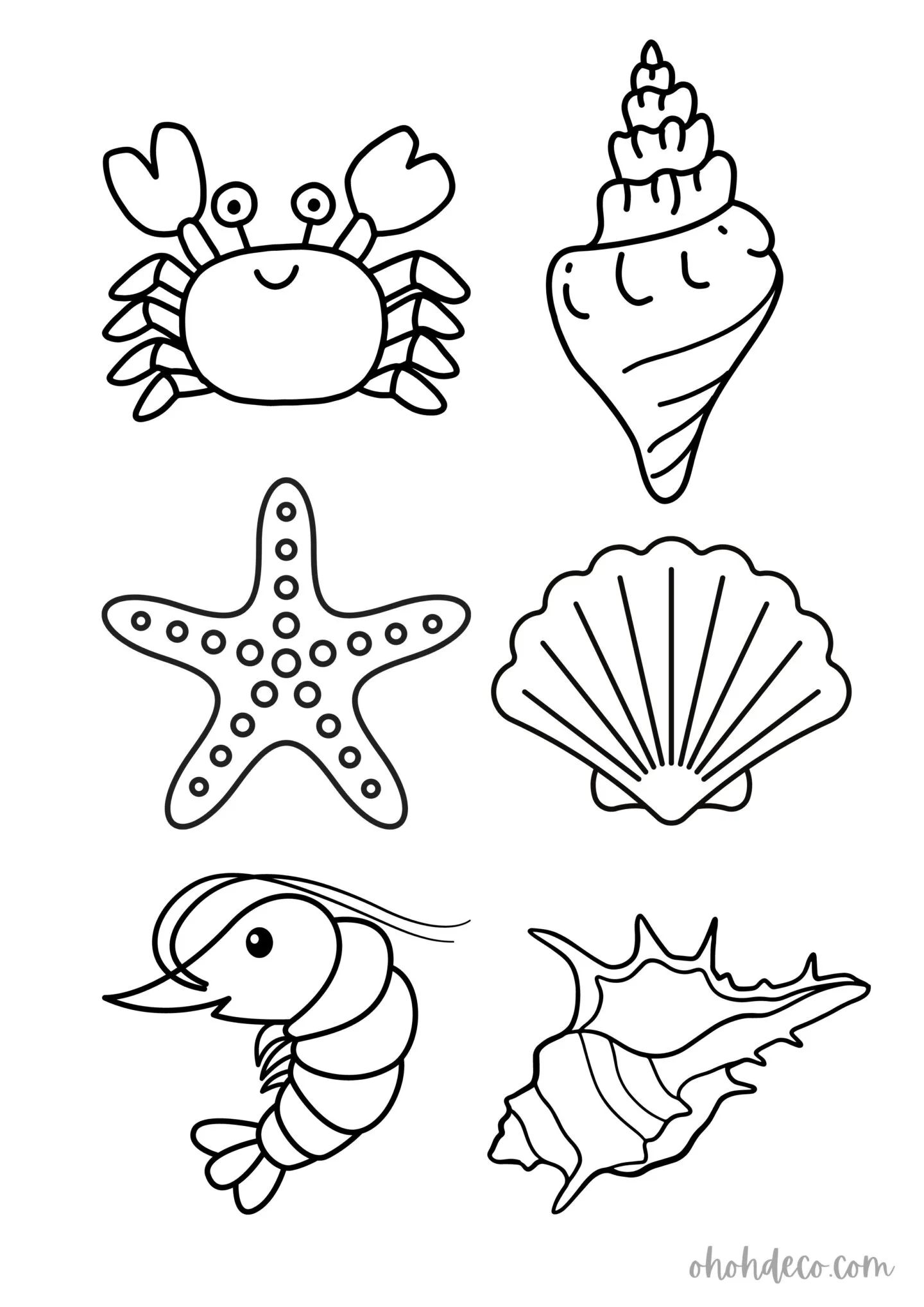 shells coloring page