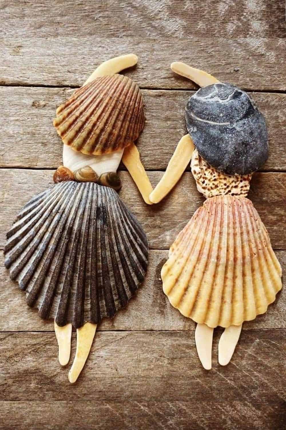 seashells art
