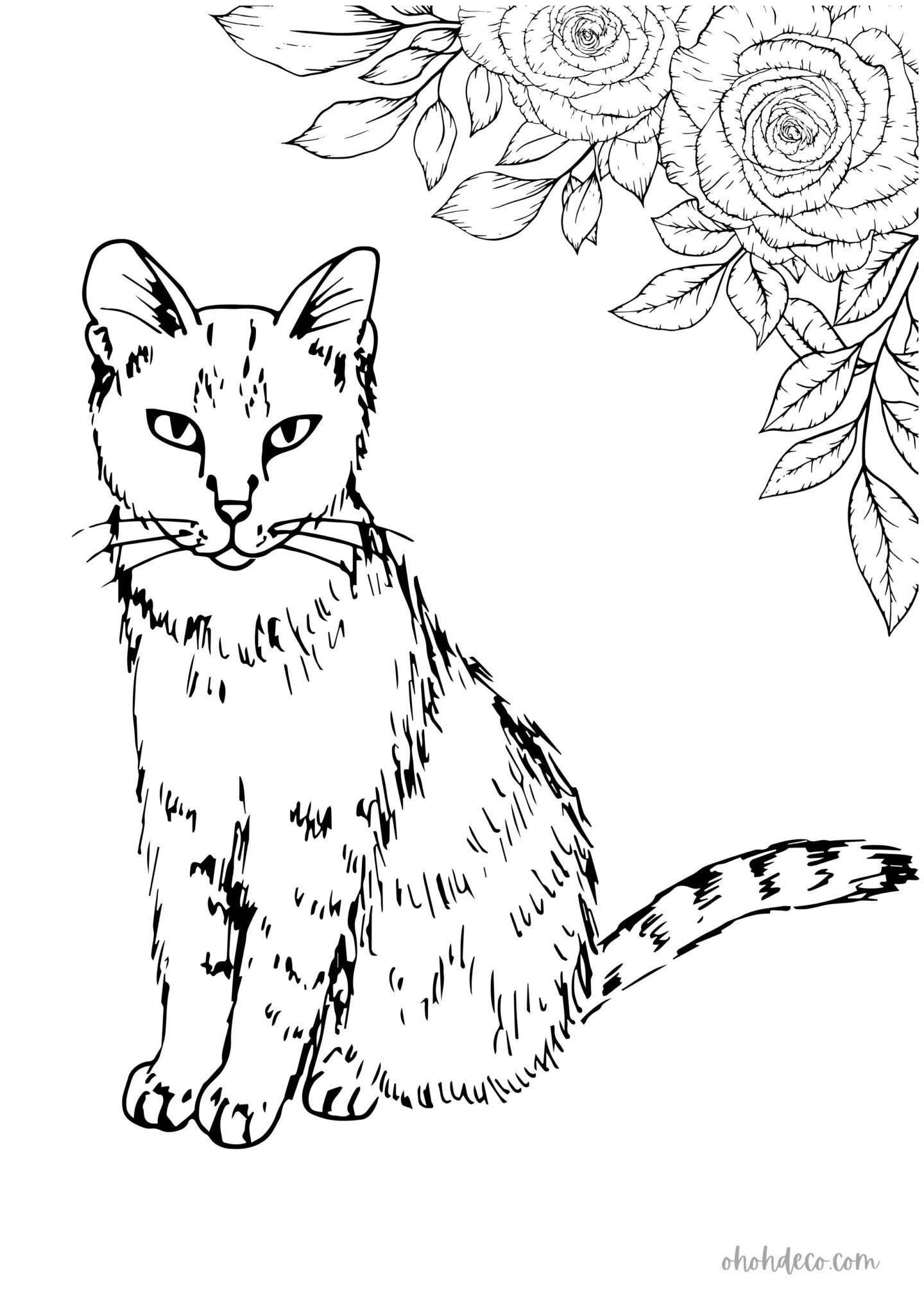 cat coloring page
