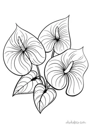 flower coloring page