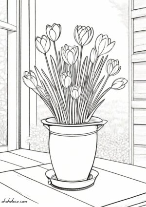 crocus coloring page