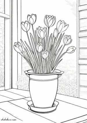 crocus coloring page