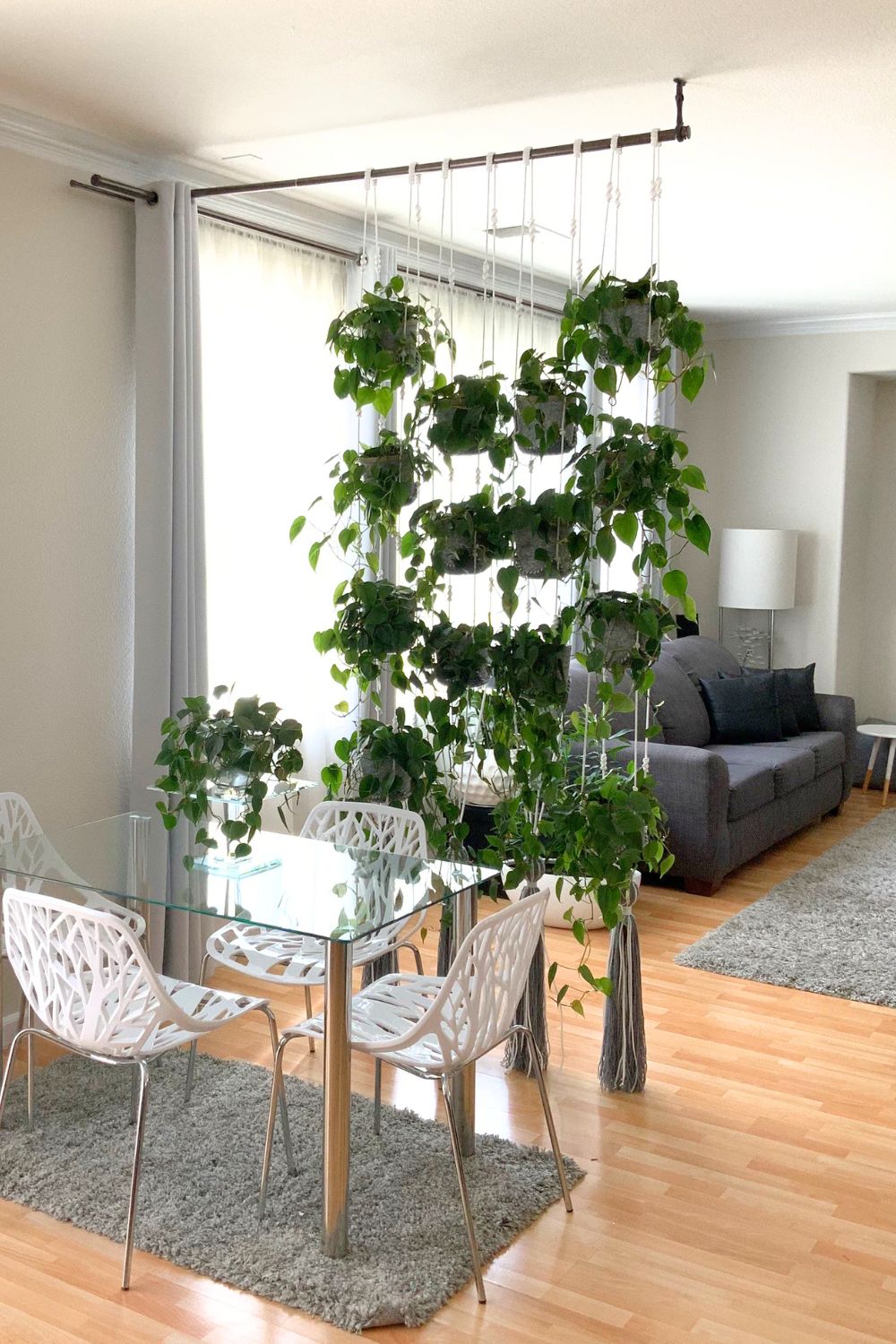 hanging plant wall room divider