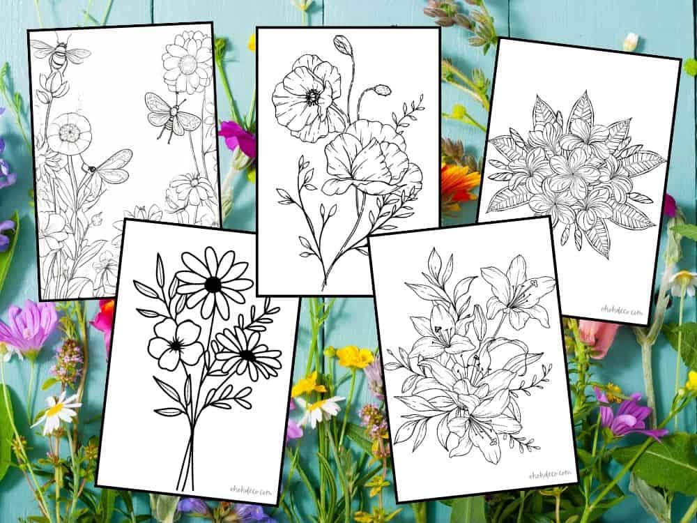 flower coloring pages