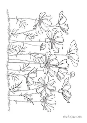 flower coloring page