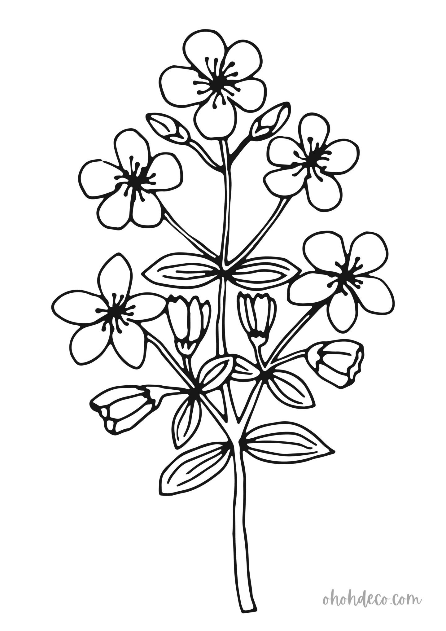 flower coloring page