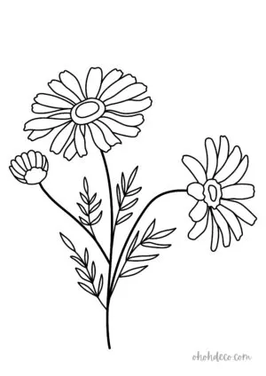 flower coloring page