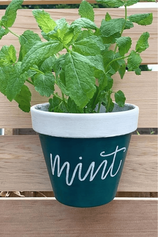 chalk paint plant pot