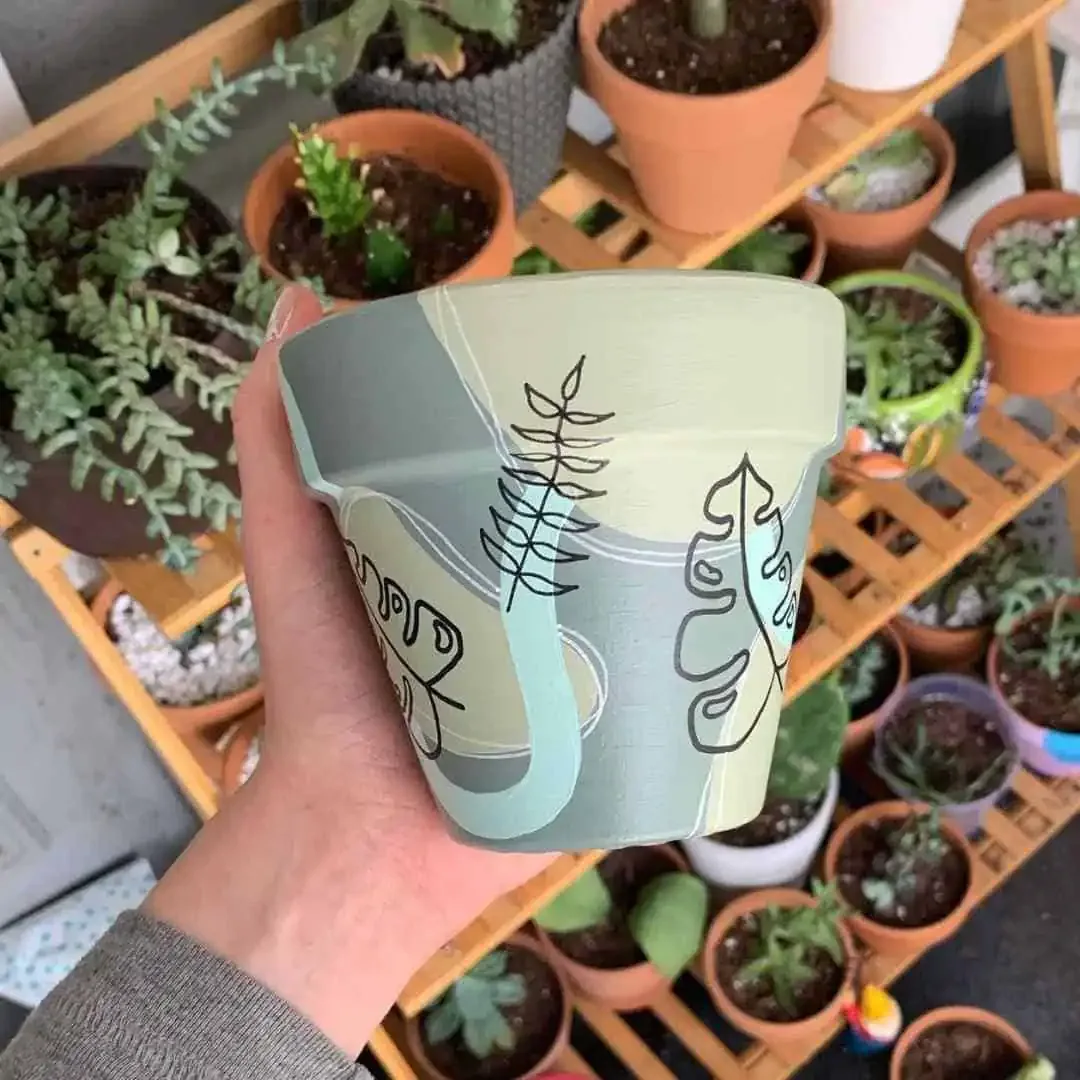 painted plant pot