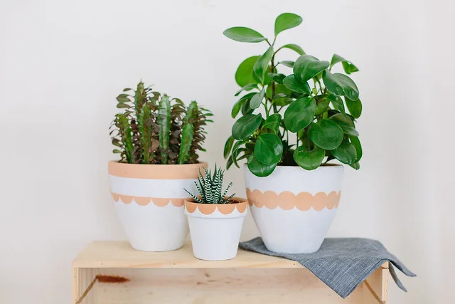 scalloped painted planters