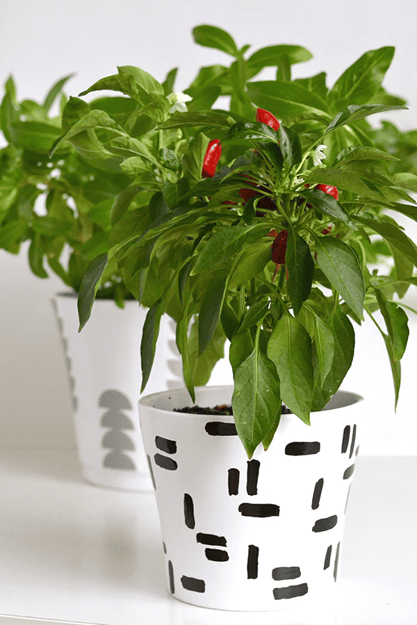 diy dashed plant pot