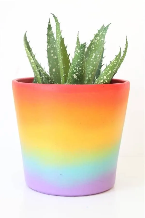 rainbow planter
