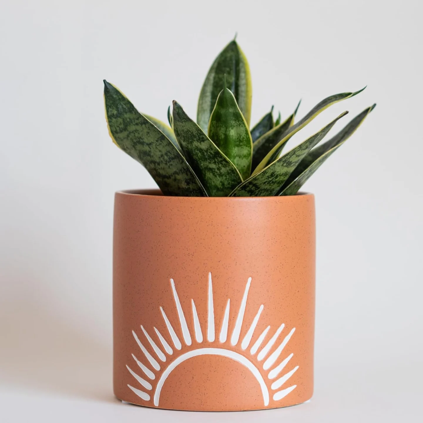 sun flower pot diy