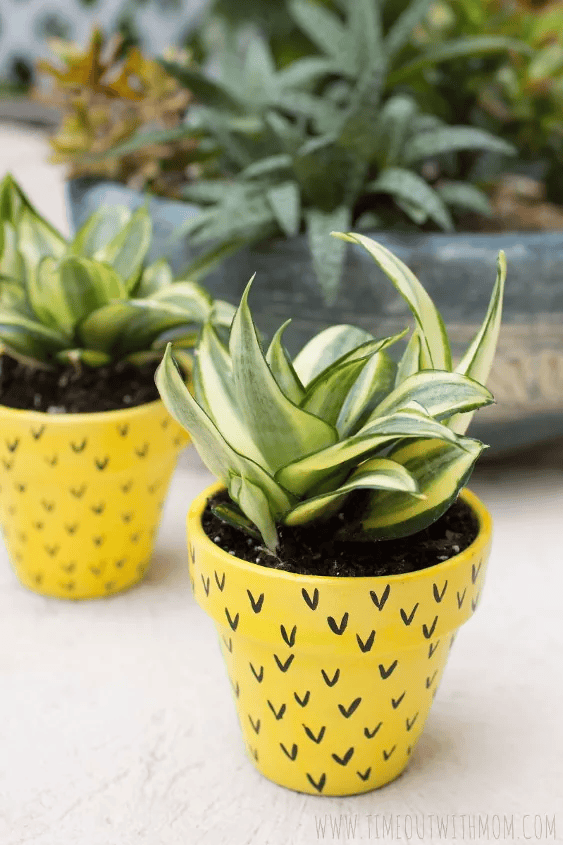 pineapple painting pot