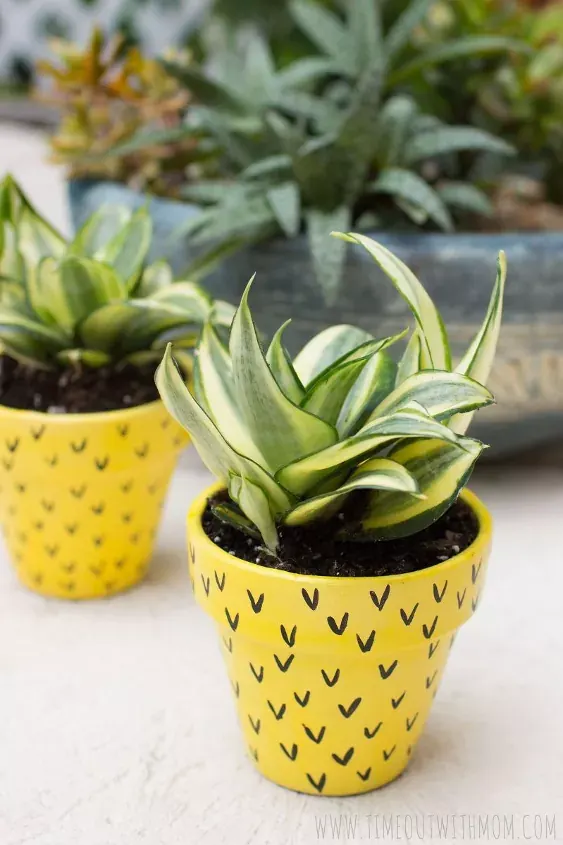 pineapple painting pot