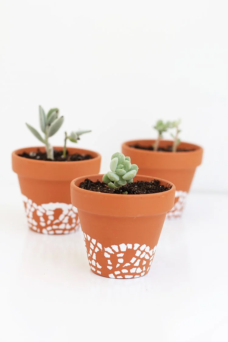 doily painted pot