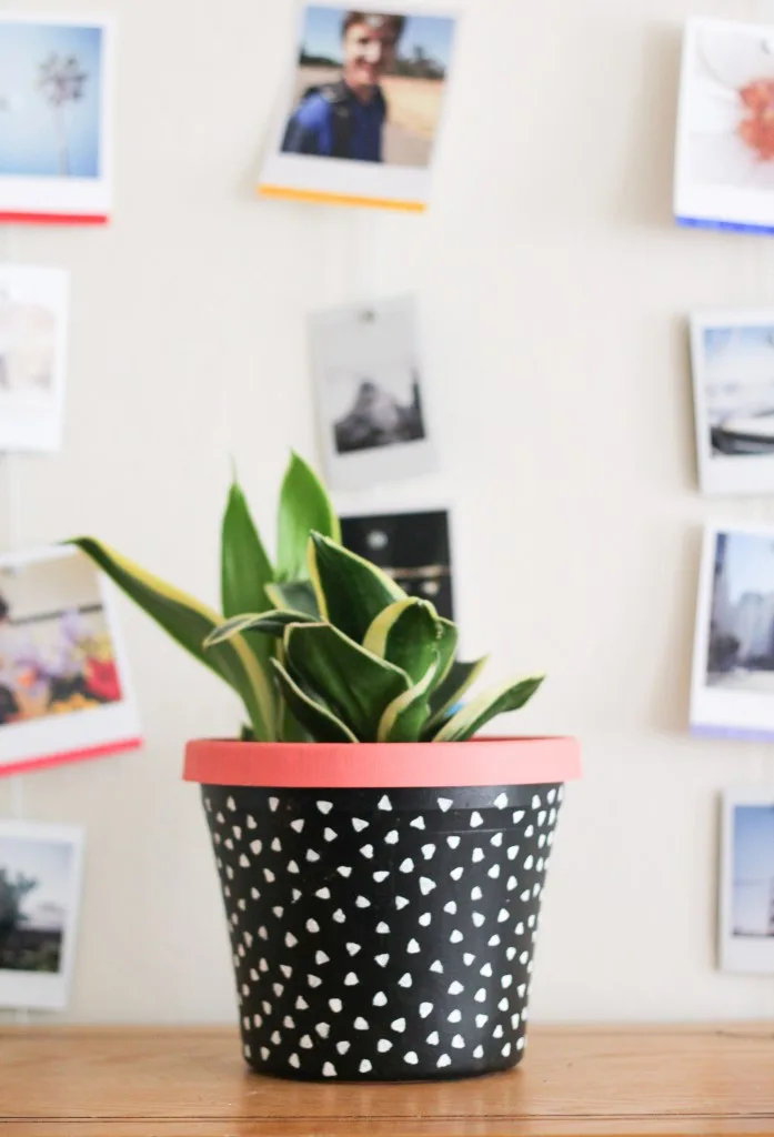 heart painted plant pot