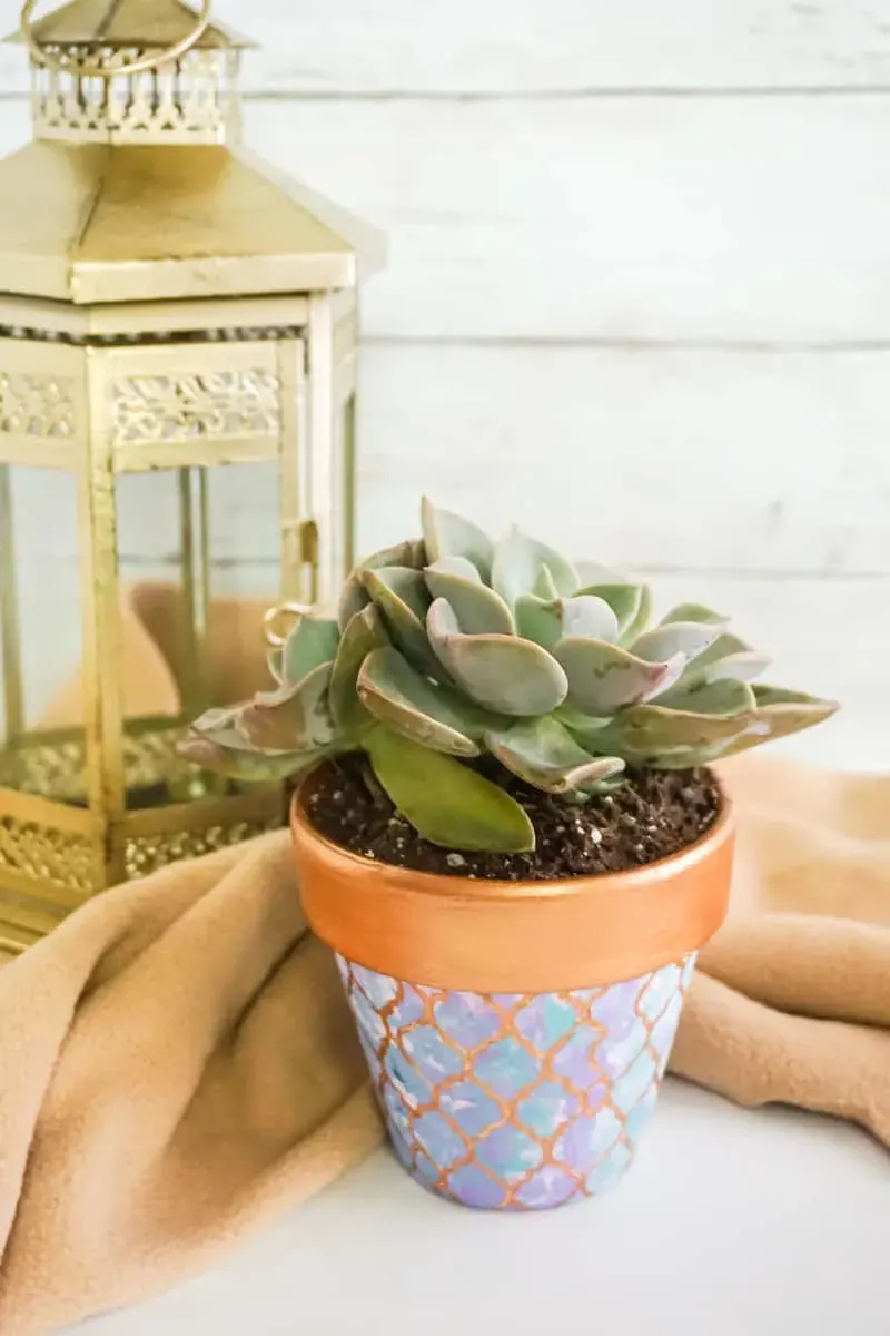 moroccan plant pot idea